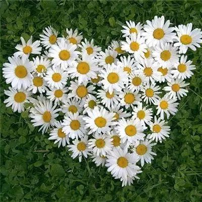 江南APP下载手机版截图